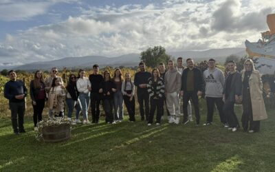 Učenje iz prve ruke: maslinarstvo, vinarstvo i financije